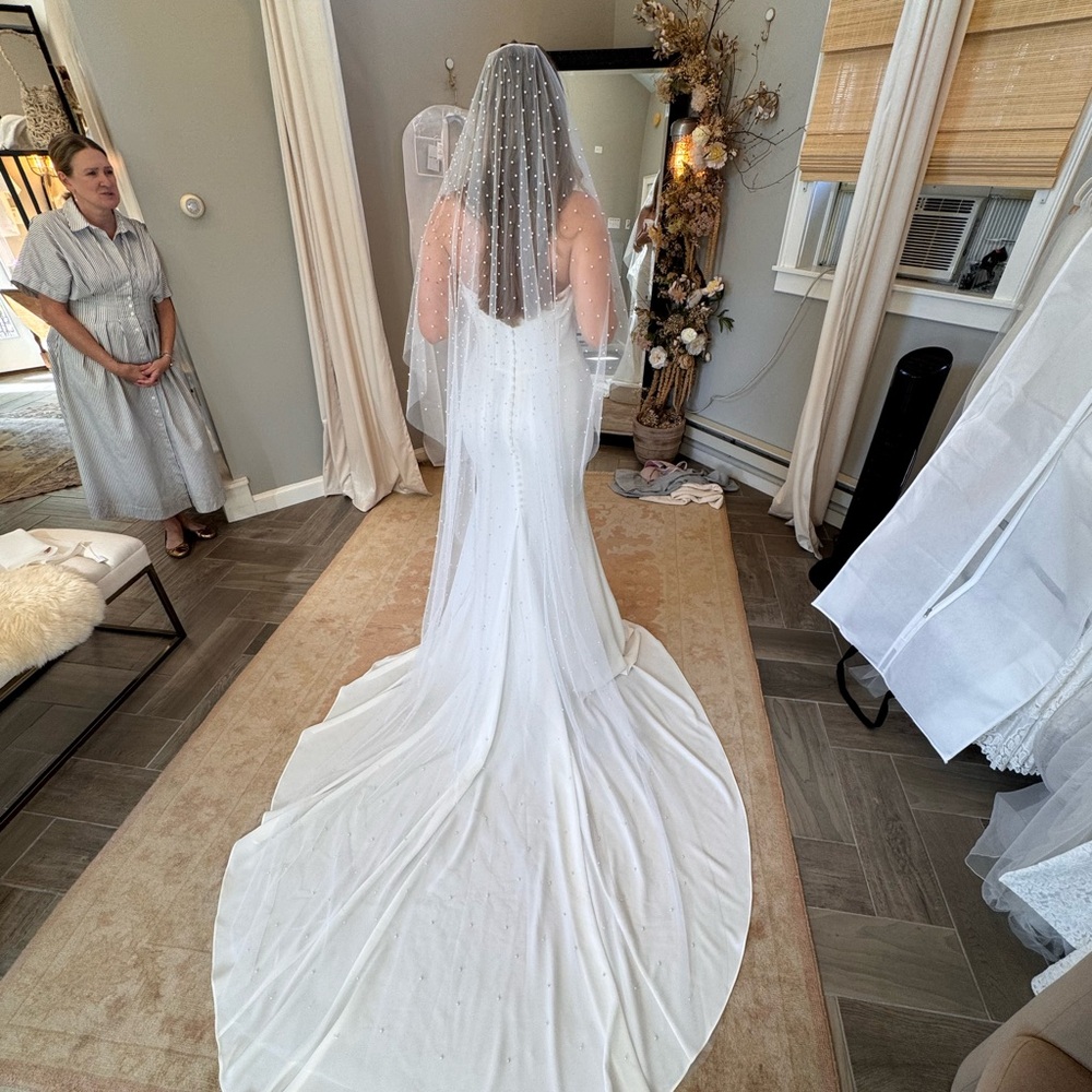 Elegant Off-White Pearl Veil - Iona Veil